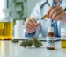 Tribunal reconhece saberes ancestrais como prova da aptidão de paciente para cultivar e extrair óleo de cannabis